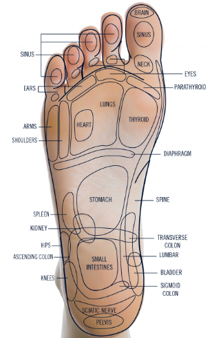 Best Reflexology Massage Near Me Reflexology Foot Massage