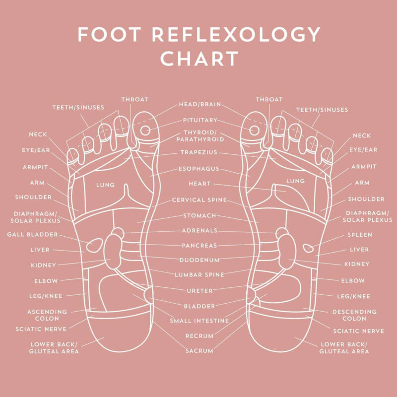 Reflexology Foot Chart: How to Read Pressure Points | Blys